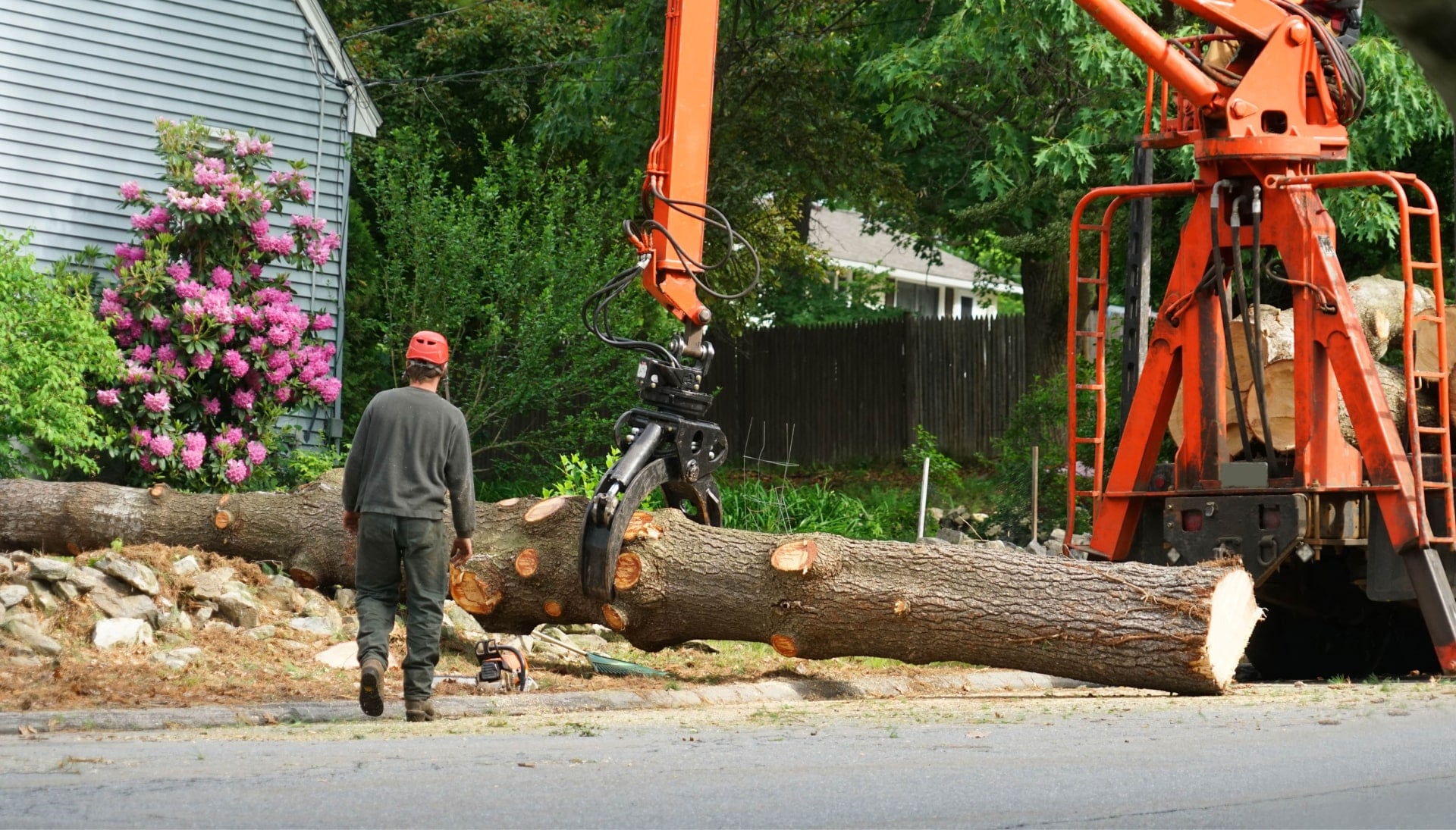 Local partner for Tree removal services in New York City