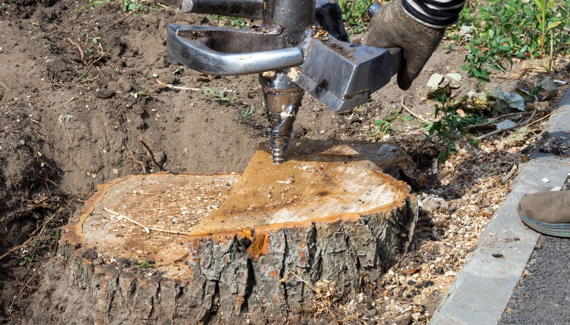 New York City Tree stump removal